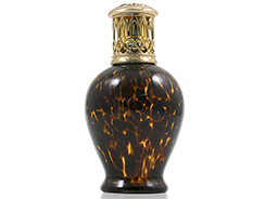 Fragrance Lamps & Oils